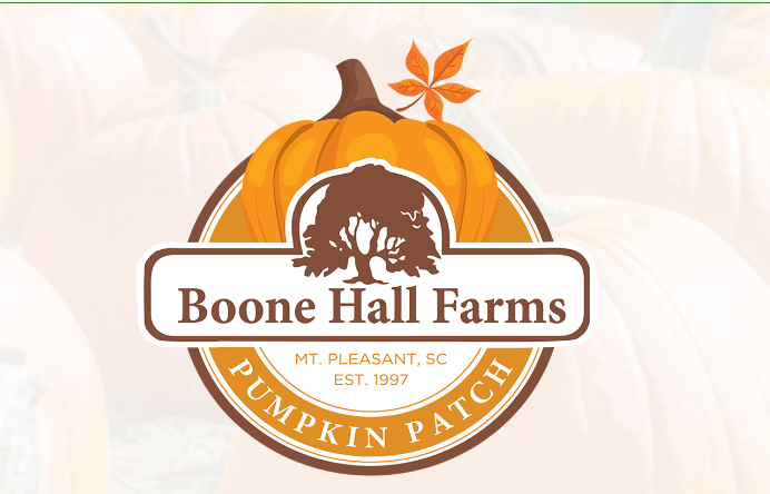 boone hall pumpkin patch
