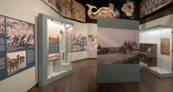 charleston museum