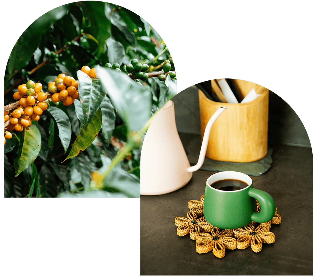 Counter Culture Coffee