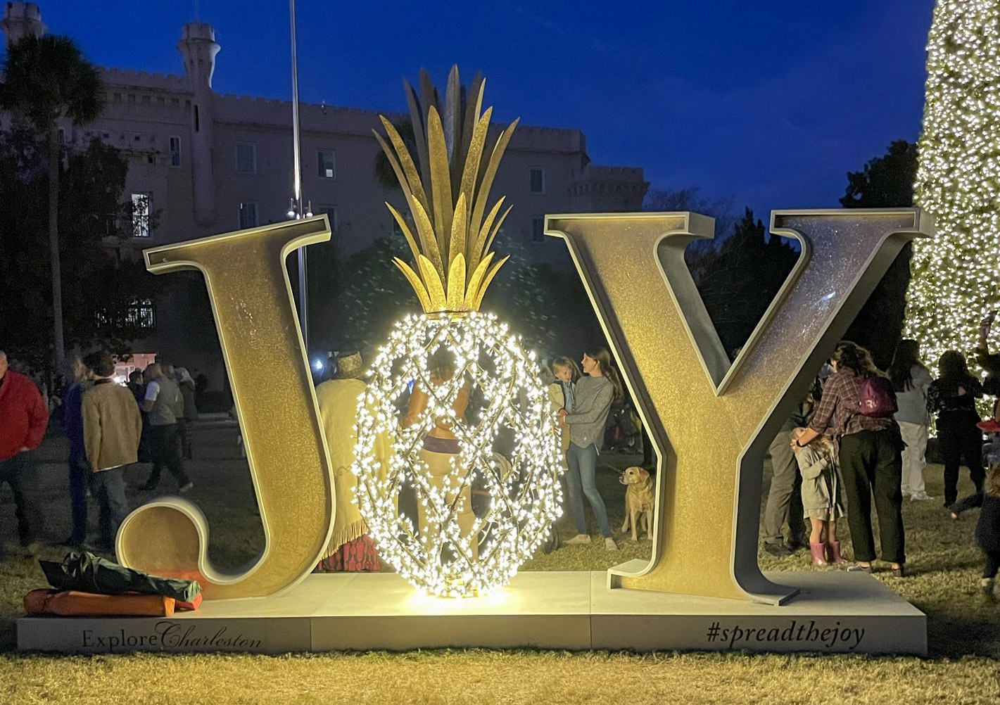 Joy pineapple light feature