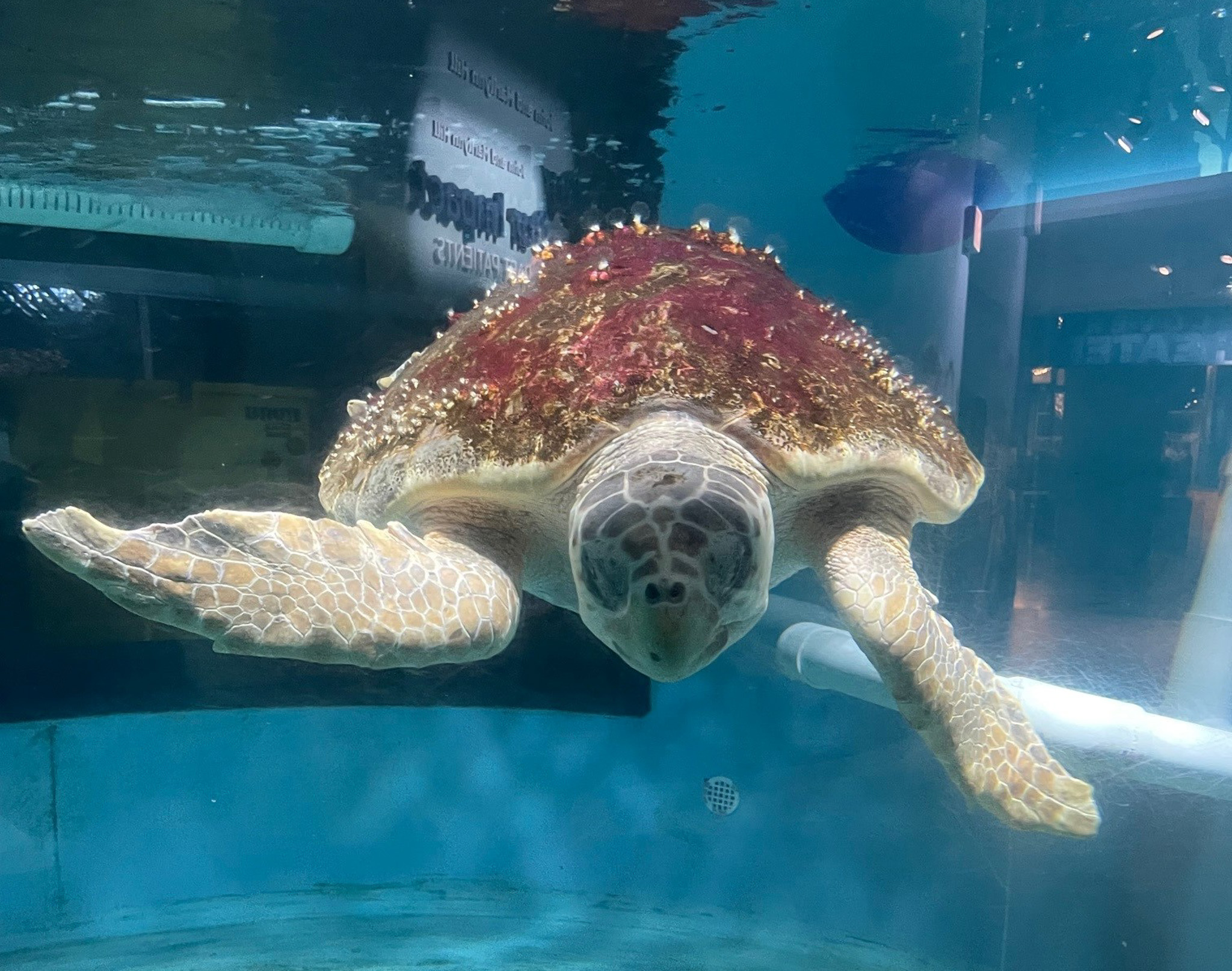 South Carolina Aquarium