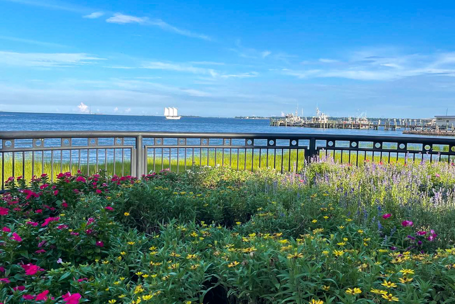 Waterfront Park in Charleston