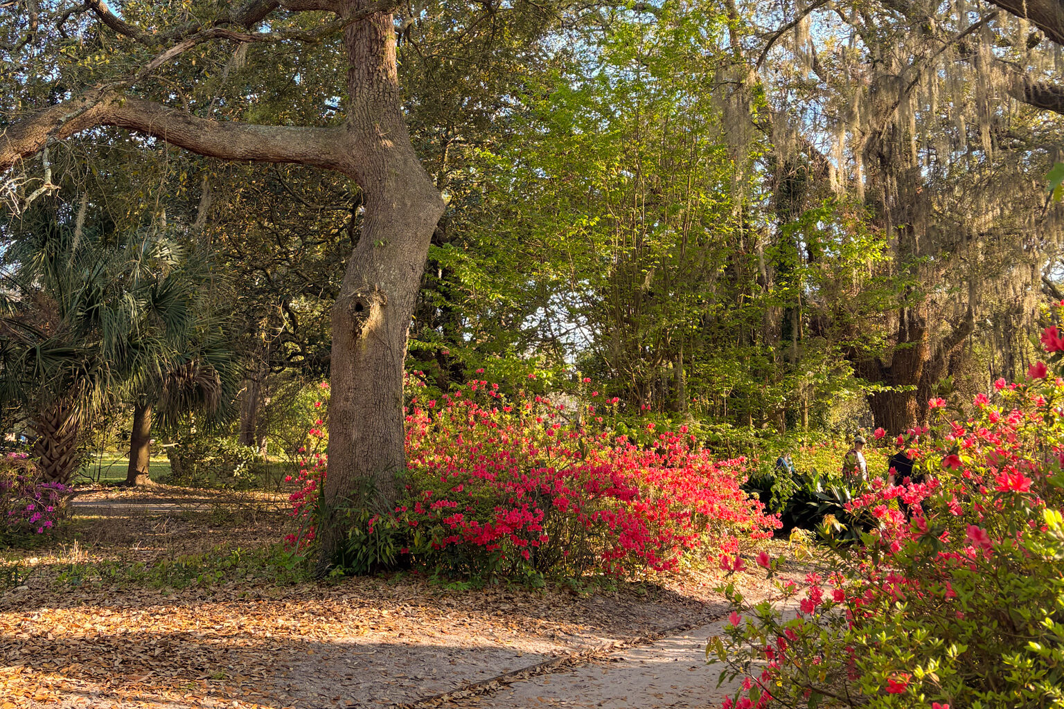 Hampton Park