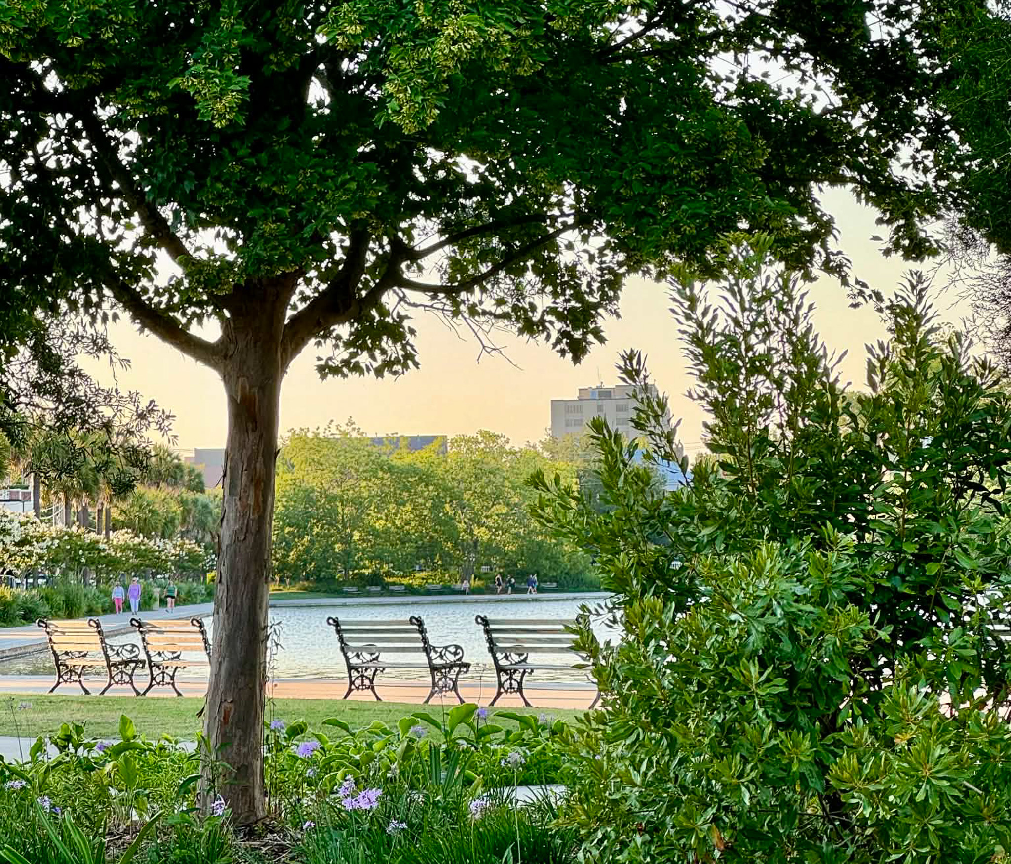 Colonial Lake