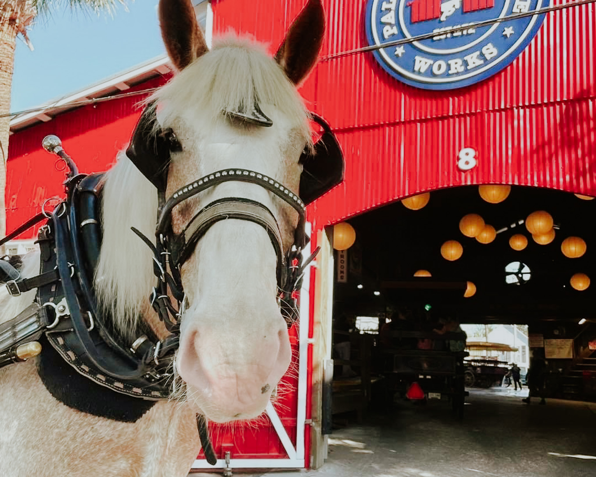 Horse & Carriage tour with Palmetto Carriage Works